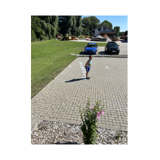 20240813-085619+0200_5.jpeg